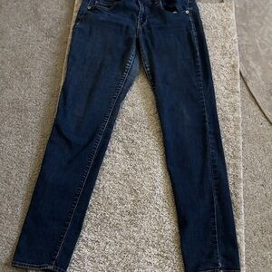 American Eagle Outfitters Dark Blue Skinny Jeans
